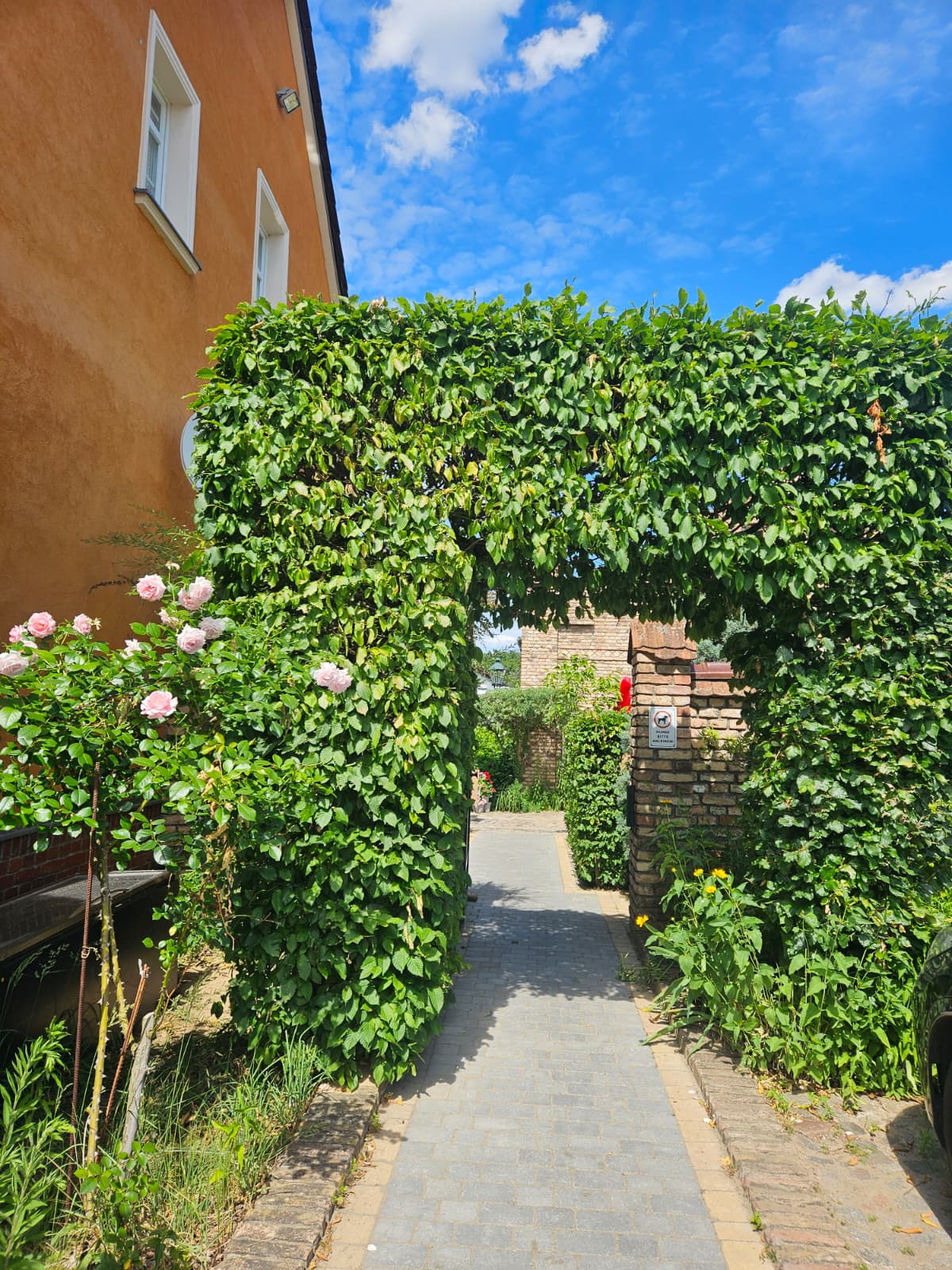 Ballettschule Vogl